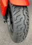 QJ Motor SRV 550 ST - erst 250 km gelaufen - Neuwertig - 1te Hand Orange - thumbnail 17