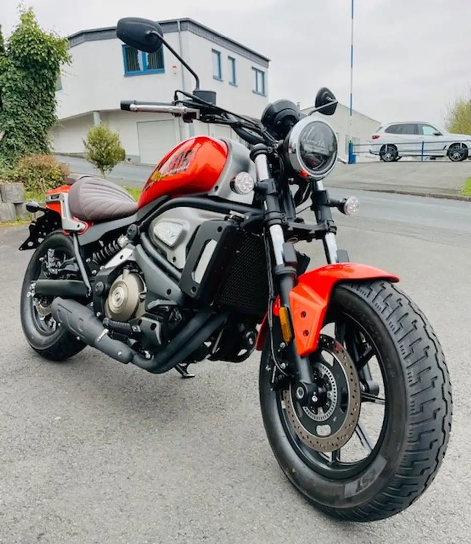 QJ Motor SRV 550 ST - erst 250 km gelaufen - Neuwertig - 1te Hand Orange - 1
