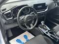 Kia Ceed / cee'd SW 1.6 CRDi (48V Mild-Hybrid) DCT7 Vision Blanc - thumbnail 6