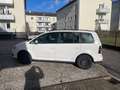 Volkswagen Touran Comforline 1,9 TDI DPF Weiß - thumbnail 3