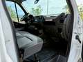 Opel Movano 2.3 CDTI 96kW (130CV) L4 H1 R 4.5t HD Blanco - thumbnail 14