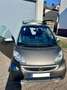 smart forTwo smart fortwo coupe coupe softouch passion micro hy Grau - thumbnail 3