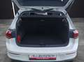Volkswagen Golf VIII eTSI Life DSG LED AHK Navi Pano AID ACC Pa... Weiß - thumbnail 14
