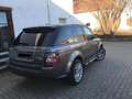 Land Rover Range Rover Sport Range Rover Sport TDV6 HSE Grau - thumbnail 4