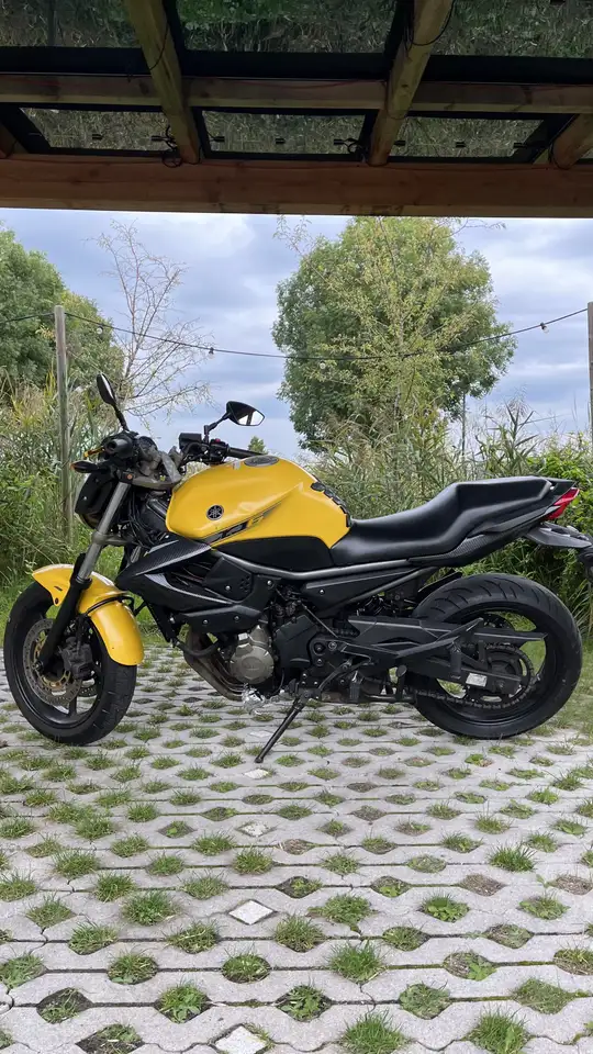 Yamaha XJ 6