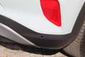 Ford Puma 1.0-125pk EcoBoost Mild-Hybrid Titanium. Nieuw Mod Grijs - thumbnail 42
