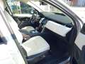 Land Rover Discovery Sport 2.0 SD4 204 CV AWD Auto SE Grigio - thumbnail 12