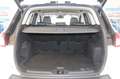 Ford Kuga Titanium 4x4*Automatik*Navi*RFK*Leder* Weiß - thumbnail 16
