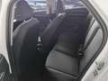 Audi A1 1.0 TFSI 95CV 25 Edition Blanc - thumbnail 9