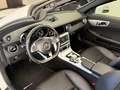 Mercedes-Benz SLC 250 SLC 250 d AMG Line auto Wit - thumbnail 17
