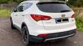 Hyundai SANTA FE 2.2 CRDI 4WD Premium Weiß - thumbnail 1