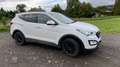Hyundai SANTA FE 2.2 CRDI 4WD Premium Weiß - thumbnail 7