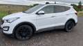 Hyundai SANTA FE 2.2 CRDI 4WD Premium Weiß - thumbnail 6
