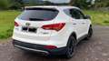 Hyundai SANTA FE 2.2 CRDI 4WD Premium Weiß - thumbnail 4