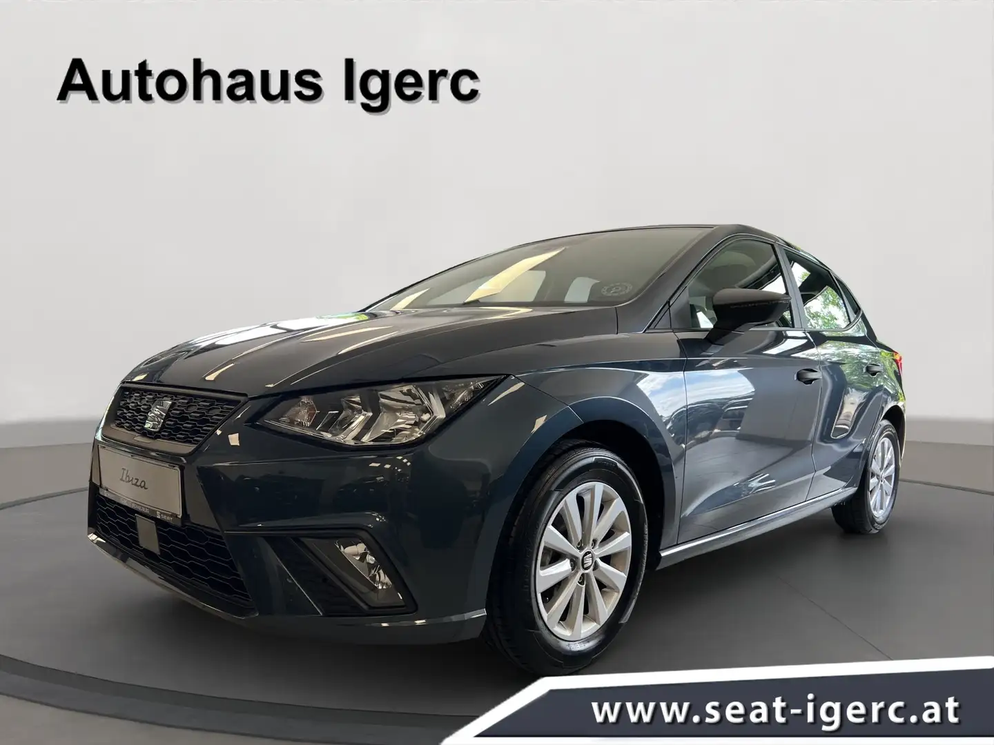 SEAT Ibiza Reference Grau - 1
