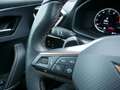 CUPRA Formentor 1.5 TSI DSG AHK ACC LED BEATS 19" Grau - thumbnail 17