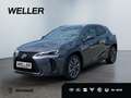 Lexus UX 300h 2,0, 199 PS CVT, 4x2 Hybrid 5-Türer F-SPOR Gris - thumbnail 1