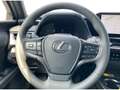 Lexus UX 300h 2,0, 199 PS CVT, 4x2 Hybrid 5-Türer F-SPOR Gris - thumbnail 15