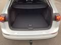 Volkswagen Golf Variant Business TDI Weiß - thumbnail 20