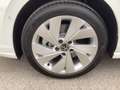 Volkswagen Golf Variant Business TDI Weiß - thumbnail 24