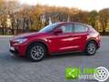 Alfa Romeo Stelvio 2.2 Turbodiesel 160 CV AT8 RWD Super Rouge - thumbnail 12