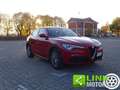 Alfa Romeo Stelvio 2.2 Turbodiesel 160 CV AT8 RWD Super Rouge - thumbnail 28