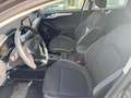 Ford Focus Focus 1.5 EcoBlue 120 CV automatico SW Business Co Grigio - thumbnail 12