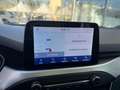Ford Focus Focus 1.5 EcoBlue 120 CV automatico SW Business Co Grigio - thumbnail 7