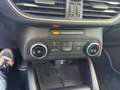 Ford Focus Focus 1.5 EcoBlue 120 CV automatico SW Business Co Grigio - thumbnail 10