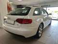 Audi A4 A4 Avant 2.0 tdi multitr. Fap SUBITO DISPONIBILE Bianco - thumbnail 15