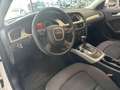 Audi A4 A4 Avant 2.0 tdi multitr. Fap SUBITO DISPONIBILE Bianco - thumbnail 4