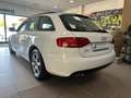 Audi A4 A4 Avant 2.0 tdi multitr. Fap SUBITO DISPONIBILE Bianco - thumbnail 13
