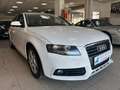 Audi A4 A4 Avant 2.0 tdi multitr. Fap SUBITO DISPONIBILE Bianco - thumbnail 2