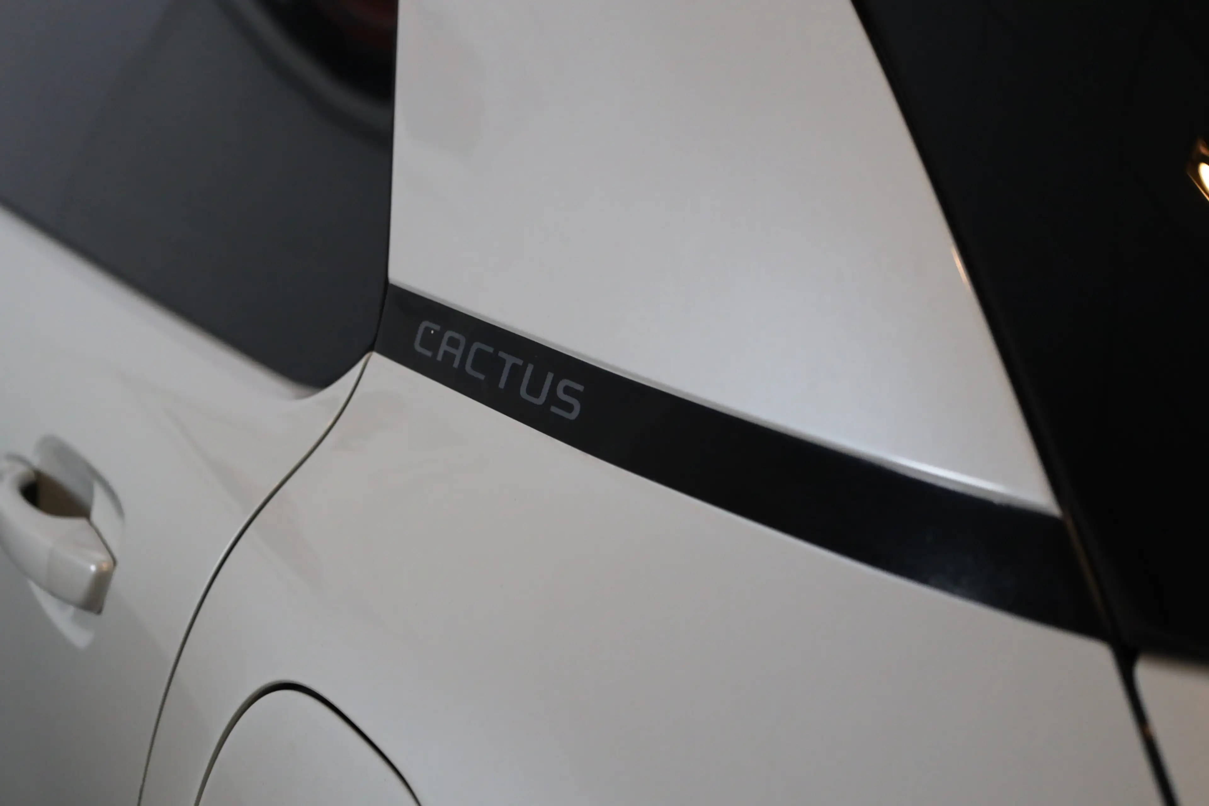 Citroen C4 Cactus PT 110 'Orgins' Automaat-6 Carplay | Camera | Lich — photo 15