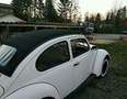 Volkswagen Käfer Käfer als Cabrio Sondermodel - "Oldtimer" Silber - thumbnail 2