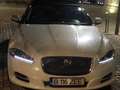 Jaguar XJ 3.0 V6 Diesel S Langversion Premium Luxury Blanco - thumbnail 3