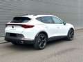CUPRA Formentor Formentor e-Hybrid 0477/88.48.11 Blanc - thumbnail 3