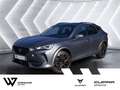 CUPRA Formentor 2.0 TSI VZ 4Drive MATT COPPER BEATS Grau - thumbnail 1