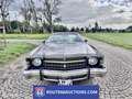 Chevrolet Monte Carlo | 1973 | Route 66 Auctions Schwarz - thumbnail 3
