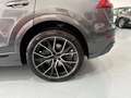 Audi Q8 50 TDI Black line plus quattro tiptronic Gris - thumbnail 15