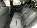 Mazda CX-3 1.8L Skyactiv-D Executive Blanc - thumbnail 9