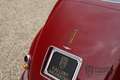 Alfa Romeo Alfa 6 6c 2500 Freccia d'Oro PRICE REDUCTION! "Body off" Rot - thumbnail 22