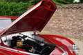Alfa Romeo Alfa 6 6c 2500 Freccia d'Oro PRICE REDUCTION! "Body off" Rot - thumbnail 32