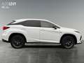 Lexus RX 450h E-Four F-Sport PANO/M&L/8FACH Weiß - thumbnail 7