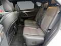 Lexus RX 450h E-Four F-Sport PANO/M&L/8FACH Weiß - thumbnail 14