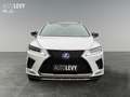 Lexus RX 450h E-Four F-Sport PANO/M&L/8FACH Weiß - thumbnail 9