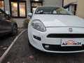 Fiat Punto 1.2 8V 5 porte Street NEOPATENTATI Bianco - thumbnail 3