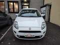 Fiat Punto 1.2 8V 5 porte Street NEOPATENTATI Bianco - thumbnail 2
