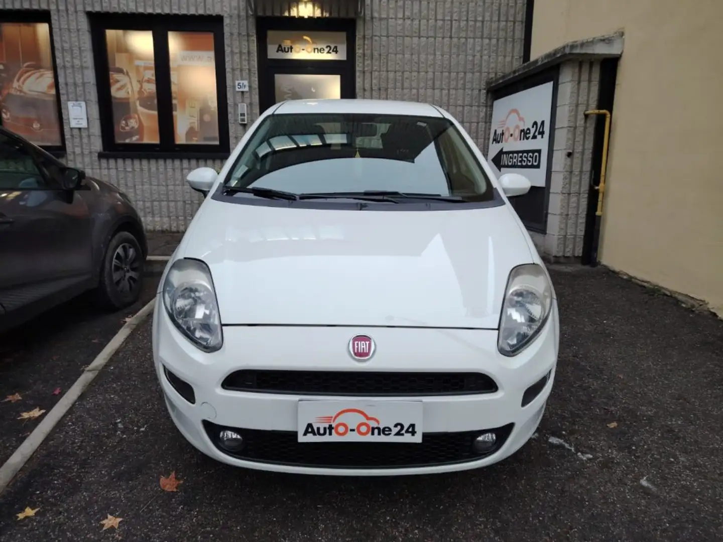 Fiat Punto 1.2 8V 5 porte Street NEOPATENTATI Bianco - 2