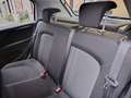 Fiat Punto 1.2 8V 5 porte Street NEOPATENTATI Bianco - thumbnail 14